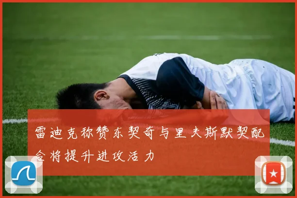 雷迪克称赞东契奇与里夫斯默契配合将提升进攻活力