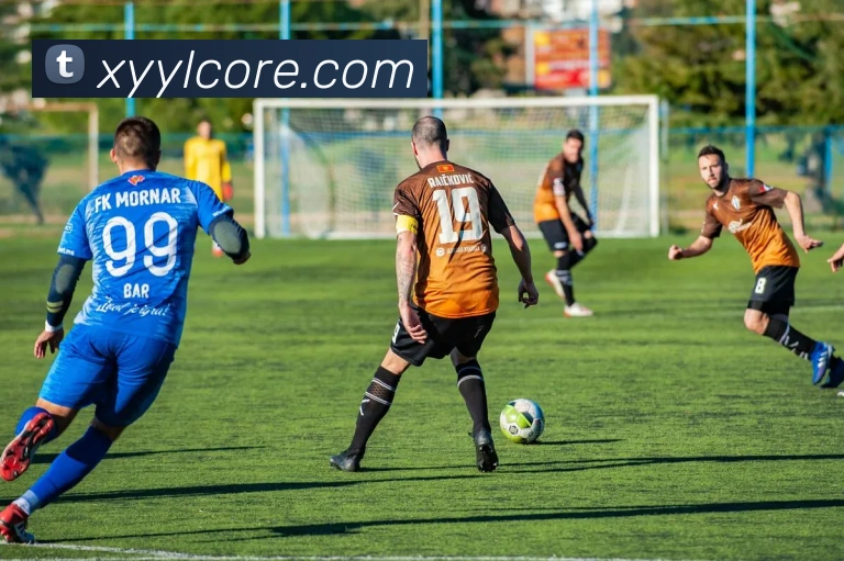 杏耀娱乐平台生态图