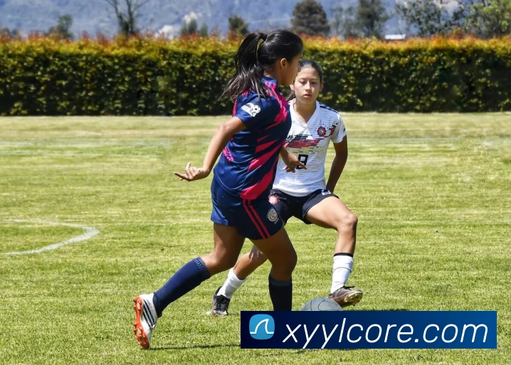 杏耀娱乐APP 封面图